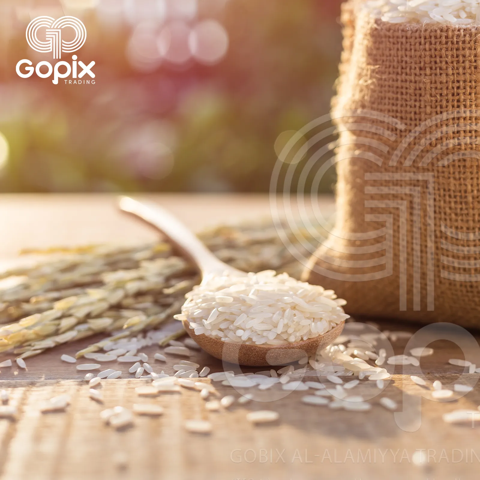 Gopix Media - Commercial intermediation in rice